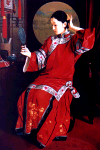 P171_small.gif (12644 bytes)